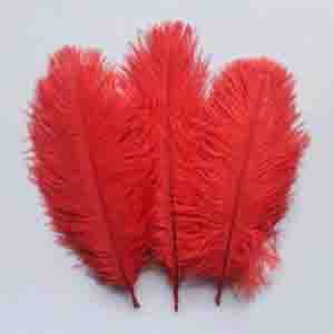 Ostrich feather - RED
